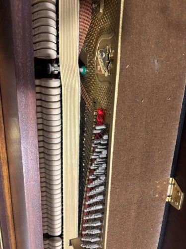 imageye___-_imgi_5_620190126_1167391332143726_2845356864449244504_n