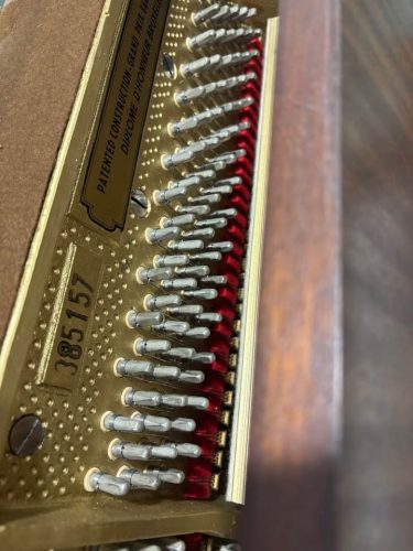 imageye___-_imgi_6_618797750_815672568188242_7193211155917515518_n